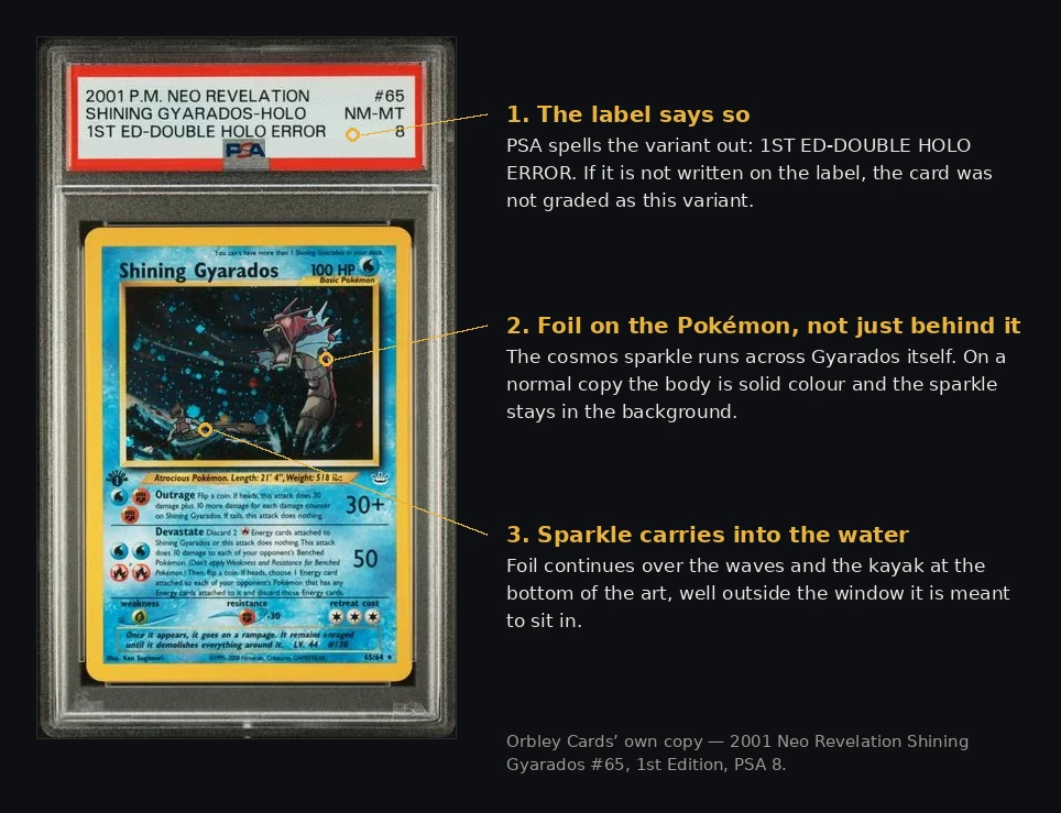 A PSA 8 graded 2001 Neo Revelation Shining Gyarados, with three labelled
                callouts: the label wording reading 1ST ED-DOUBLE HOLO ERROR, holofoil sparkle
                running across Gyarados itself, and sparkle continuing into the water and over the
                kayak at the bottom of the artwork.